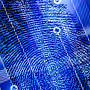 Digital Fingerprint Art